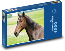 Kůň - hřebec, farma Puzzle 1000 dílků - 60 x 46 cm