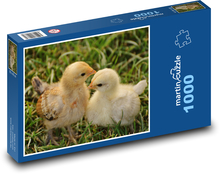 Kuřátko - kuře, drůbež Puzzle 1000 dílků - 60 x 46 cm