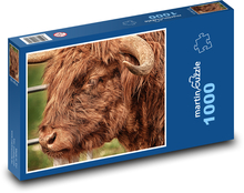Bull - horns, animal Puzzle 1000 pieces - 60 x 46 cm 