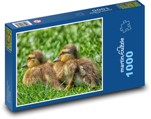 Kačice - vtáky, kurčatá Puzzle 1000 dielikov - 60 x 46 cm 