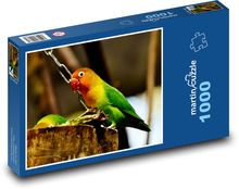 Papagáj - vták, zviera Puzzle 1000 dielikov - 60 x 46 cm 