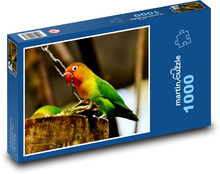 Papagei - Vogel, Tier Puzzle 1000 Teile - 60 x 46 cm