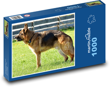 Německý ovčák - pes, domácí zvíře Puzzle 1000 dílků - 60 x 46 cm