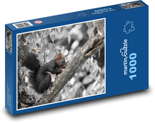 Eichhörnchen - Nagetier, Tier Puzzle 1000 Teile - 60 x 46 cm