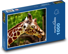 Giraffe - Zoo, Tier Puzzle 1000 Teile - 60 x 46 cm