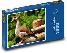 Kachna - vodní pták, zvíře Puzzle 1000 dílků - 60 x 46 cm