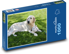 Golden retriever and rabbit in the garden Puzzle 1000 pieces - 60 x 46 cm