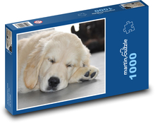 Spiaci pes - zlatý retriever, šteniatko Puzzle 1000 dielikov - 60 x 46 cm