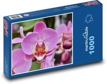 Růžová orchidej - květina, květ Puzzle 1000 dílků - 60 x 46 cm