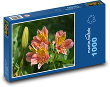 Lilie - Blume, Knospe Puzzle 1000 Teile - 60 x 46 cm