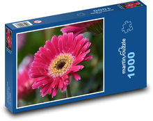 Kvetina - gerbera, kvet Puzzle 1000 dielikov - 60 x 46 cm 