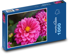 Dalia - różowy kwiat, ogród Puzzle 1000 elementów - 60x46 cm