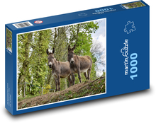 Osli - býložravci, příroda Puzzle 1000 dílků - 60 x 46 cm