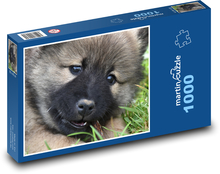 Dog - eurasier, puppy Puzzle 1000 pieces - 60 x 46 cm 