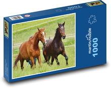Konie - ogier, zwierzęta Puzzle 1000 elementów - 60x46 cm
