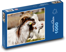 Kozel - zvíře, farma Puzzle 1000 dílků - 60 x 46 cm