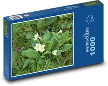Petrklíč - jaro, květiny Puzzle 1000 dílků - 60 x 46 cm