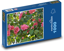 Camellia - flowers, pink flower Puzzle 1000 pieces - 60 x 46 cm 