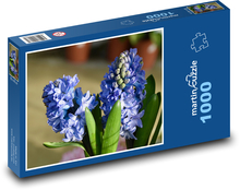 Hyacint - modrý květ, zahrada Puzzle 1000 dílků - 60 x 46 cm