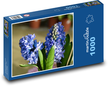 Hyazinthe - blaue Blume, Garten Puzzle 1000 Teile - 60 x 46 cm