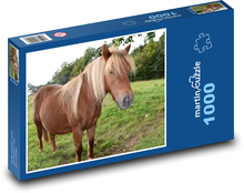 Shetlandpony - Pferd, Bauernhof Puzzle 1000 Teile - 60 x 46 cm