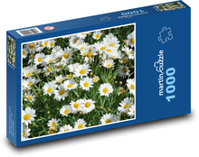 Daisies - meadow, white flowers Puzzle 1000 pieces - 60 x 46 cm 