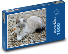 Kočka - domácí mazlíček, zvíře Puzzle 1000 dílků - 60 x 46 cm
