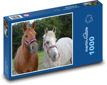 Mare - horse, animals Puzzle 1000 pieces - 60 x 46 cm 
