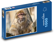 Makaken - Affe, Tier Puzzle 1000 Teile - 60 x 46 cm