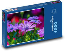Stokrotka - kwiat, ogród Puzzle 1000 elementów - 60x46 cm