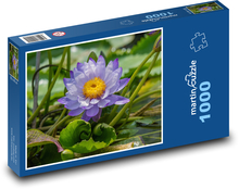Lotusblume - Blume, Teich Puzzle 1000 Teile - 60 x 46 cm