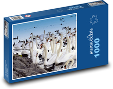 Labutě - zvíře, rybník Puzzle 1000 dílků - 60 x 46 cm