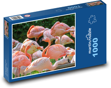 Plameňák - ptáci, zoo Puzzle 1000 dílků - 60 x 46 cm
