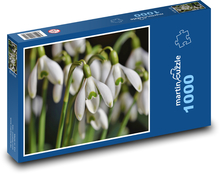 Sněženky - květina, jaro Puzzle 1000 dílků - 60 x 46 cm