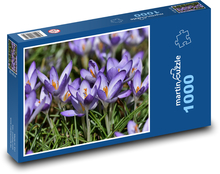 Crocus - flower, garden Puzzle 1000 pieces - 60 x 46 cm 