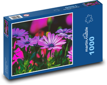Kopretina - fialový květ, zahrada Puzzle 1000 dílků - 60 x 46 cm