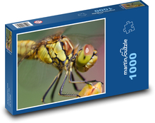 Libelle - Libellenflügel, Insekten Puzzle 1000 Teile - 60 x 46 cm