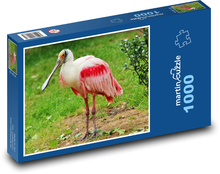 Kolpík - vodný vták, zoo Puzzle 1000 dielikov - 60 x 46 cm 