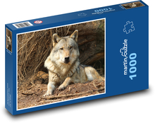 A wolf - a wild animal, a mammal. Puzzle 1000 pieces - 60 x 46 cm