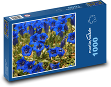 Hořec - modrý květ, květina Puzzle 1000 dílků - 60 x 46 cm