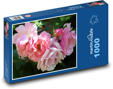 Rosenblumen Puzzle 1000 Teile - 60 x 46 cm