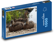 Stockenten - Wasservogel Puzzle 1000 Teile - 60 x 46 cm