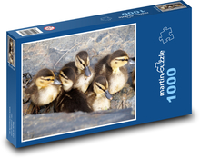 Kaczki - młode, ptaki Puzzle 1000 elementów - 60x46 cm