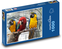 Papageien - Ara, Vögel Puzzle 1000 Teile - 60 x 46 cm