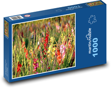 Mečíky - květiny, zahrada Puzzle 1000 dílků - 60 x 46 cm