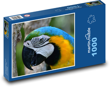 Papoušek - ara, pták Puzzle 1000 dílků - 60 x 46 cm