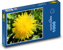 Löwenzahn - gelbe Blume, Frühling Puzzle 1000 Teile - 60 x 46 cm