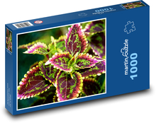 Afrikanische Brennnessel - Kraut, Pflanze Puzzle 1000 Teile - 60 x 46 cm