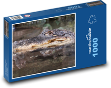 Krokodil - Reptil, Wasser Puzzle 1000 Teile - 60 x 46 cm