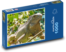 Leguán - terárium, plaz Puzzle 1000 dielikov - 60 x 46 cm
